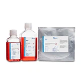 Minimális alapvető közeg